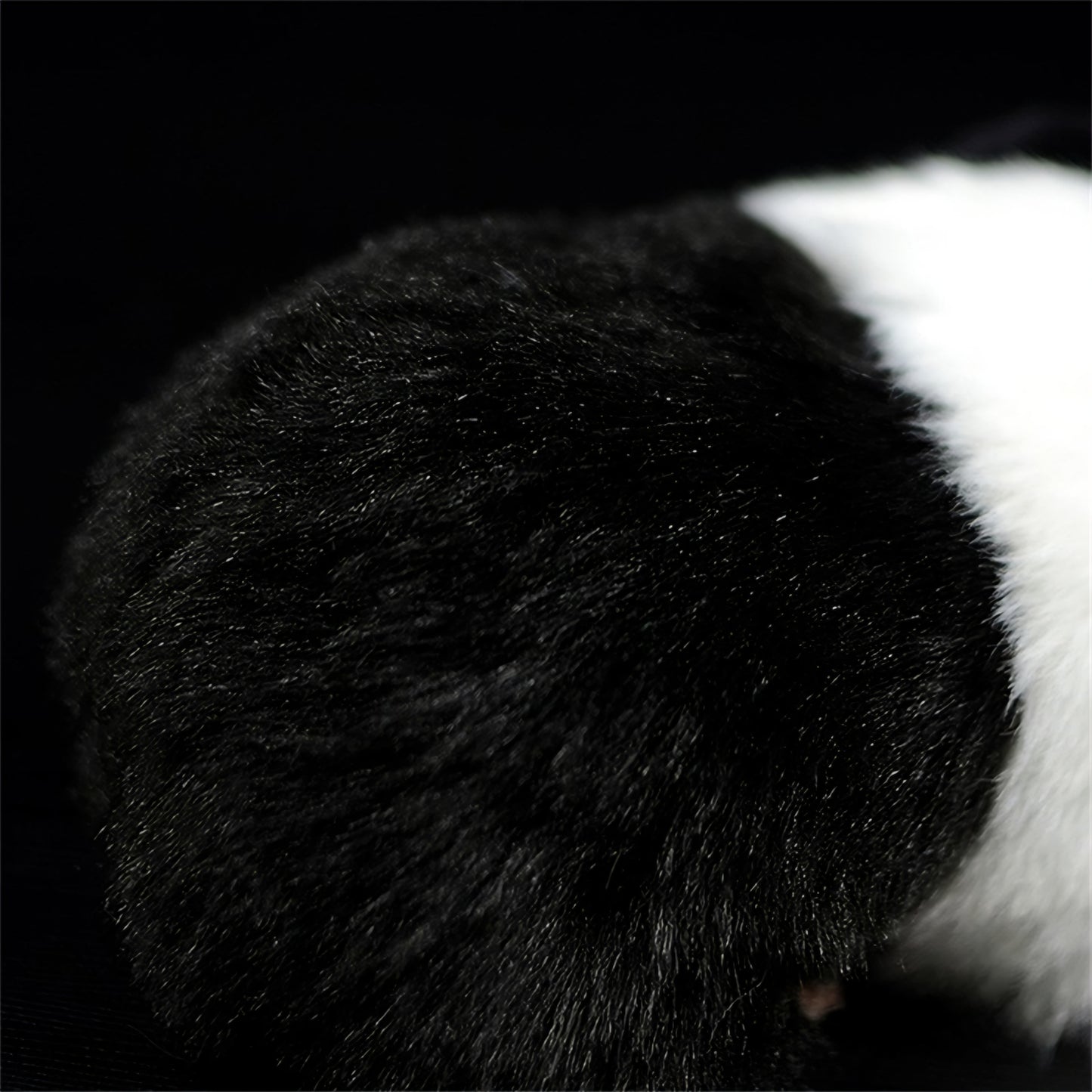 Realistic Black Guinea Pig Plush