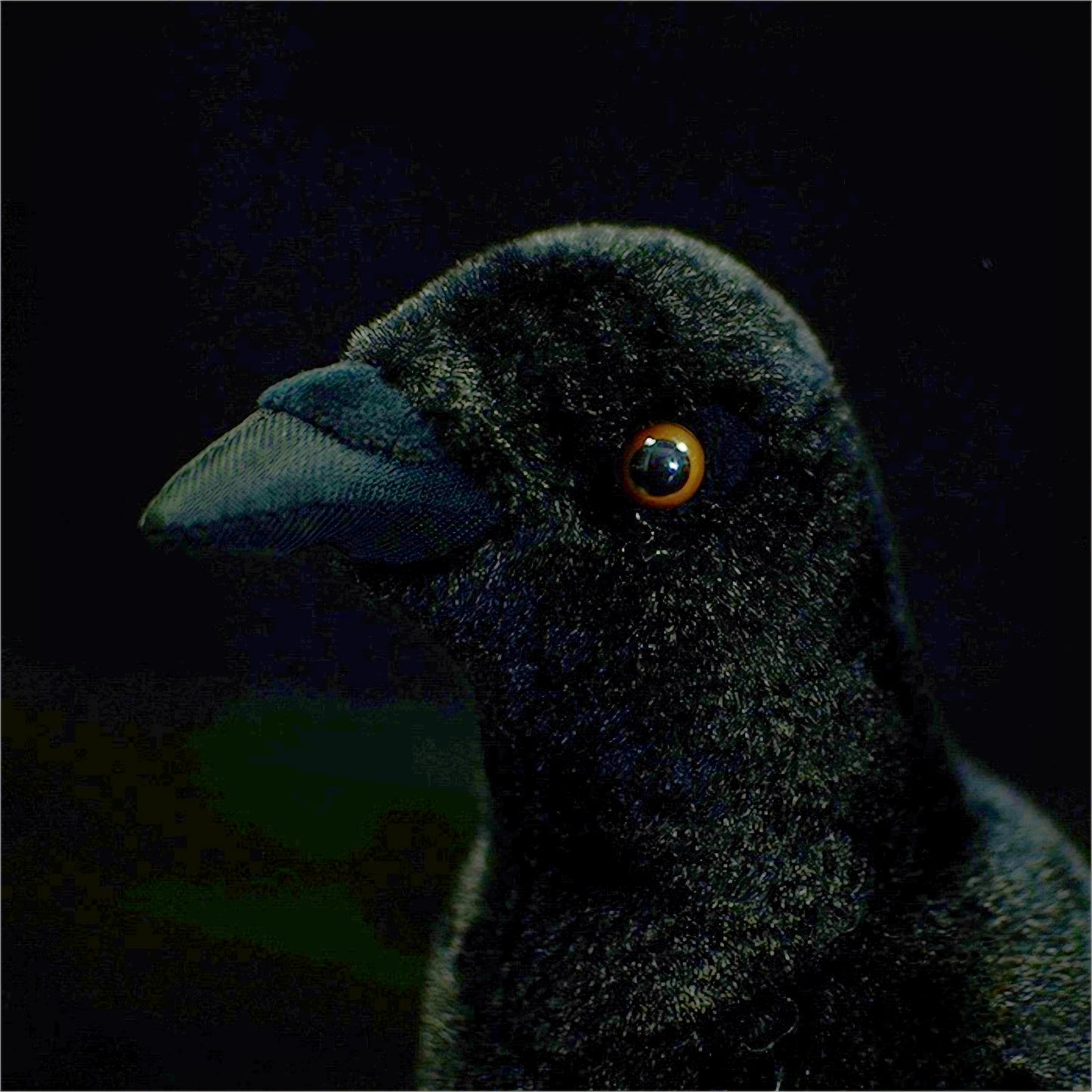 Realistic Crow Plush