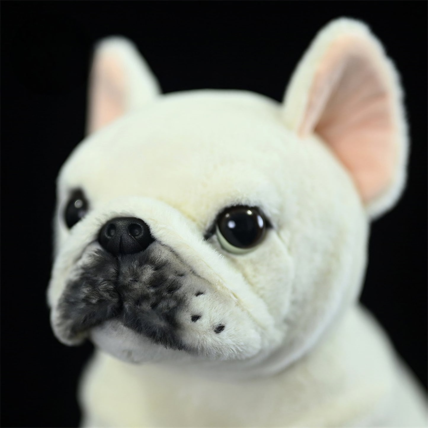 Realistic White French Bulldog Puppy Plush