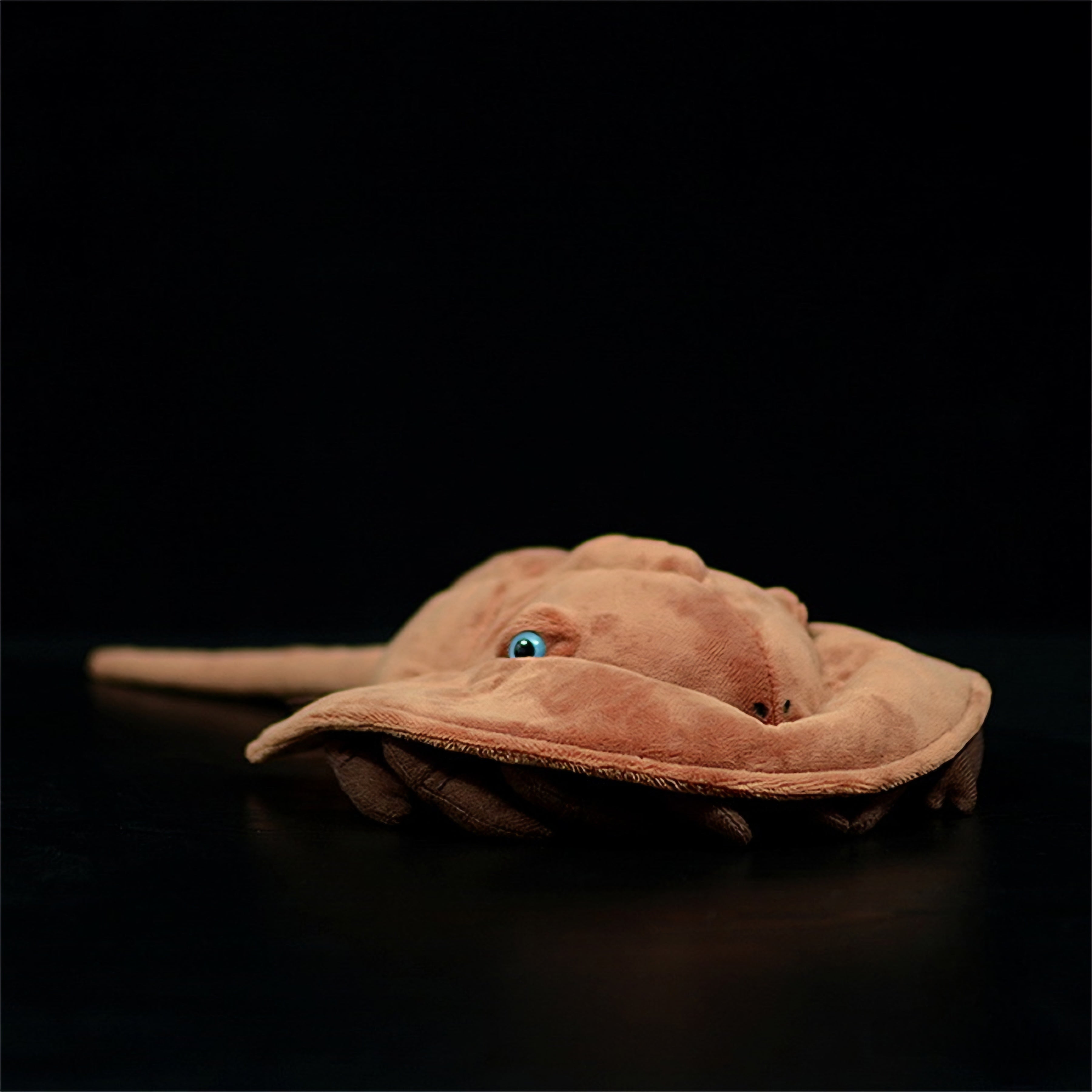 Realistic Horseshoe Crab Plush