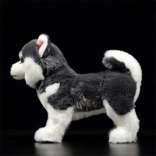 Realistic Alaskan Malamute Dog Plush