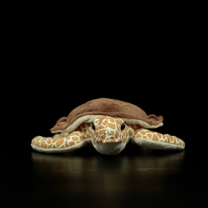 Realistic Loggerhead Sea Turtle plush