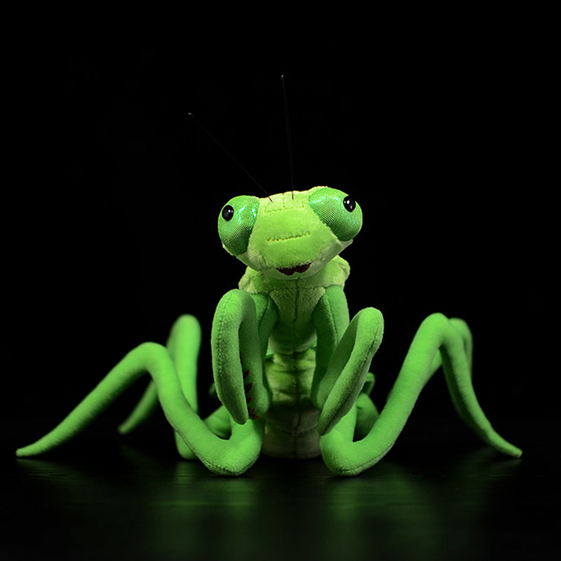 Realistic Chinese Mantis Plush