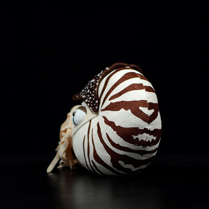 Realistic Nautilus Plush