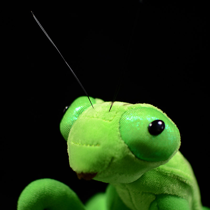 Realistic Chinese Mantis Plush