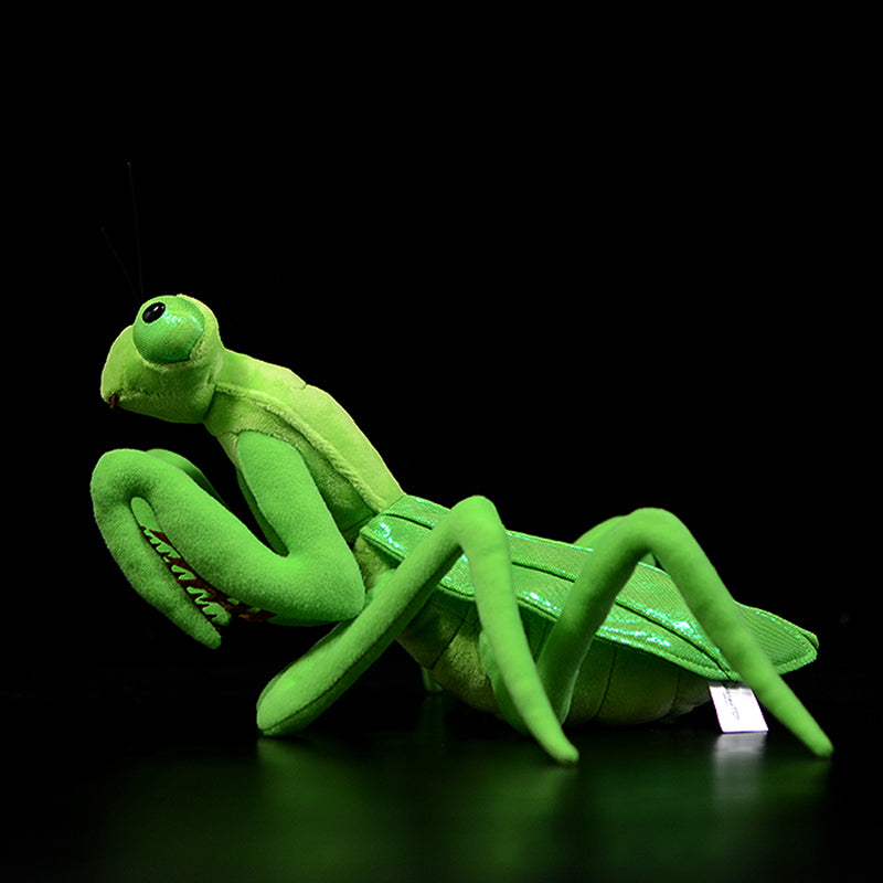Realistic Chinese Mantis Plush