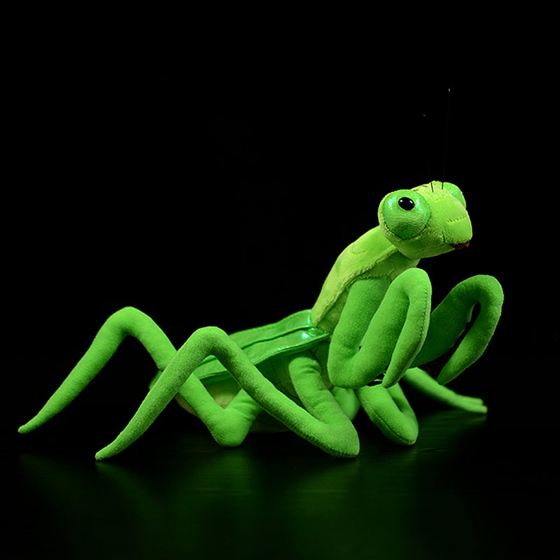 Realistic Chinese Mantis Plush